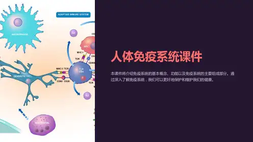《人体免疫系统课件》