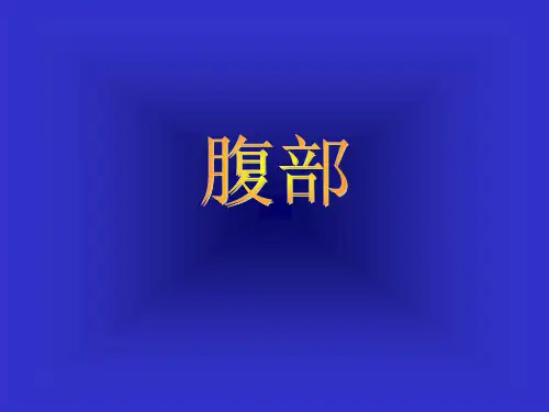 胃溃疡胃癌的影像学表现PPT学习课件