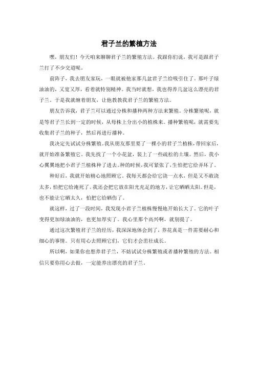 君子兰的繁植方法