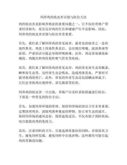 饲养鸡的病虫害识别与防治方法