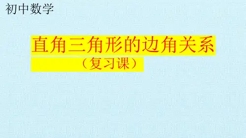 初中数学：直角三角形的边角关系(复习)