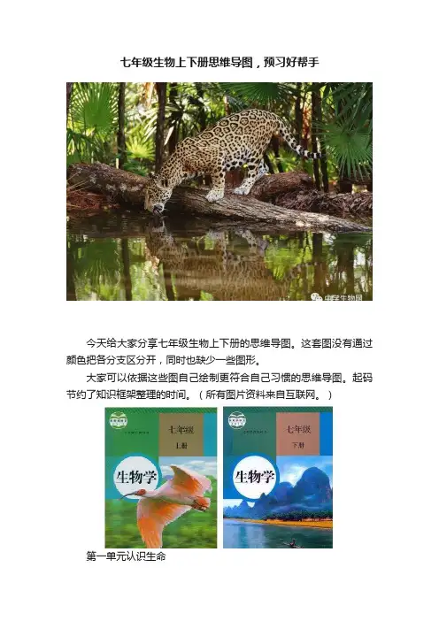 七年级生物上下册思维导图，预习好帮手