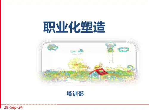 职业化素养专业知识培训