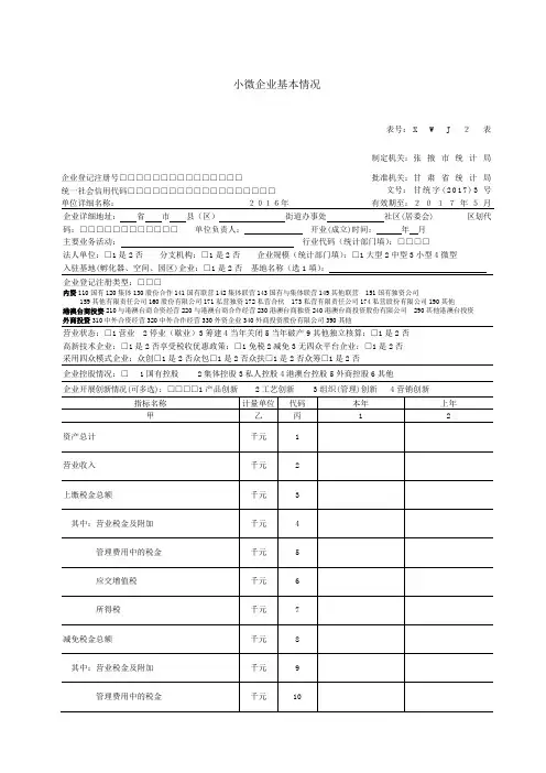 小微企业基本情况表