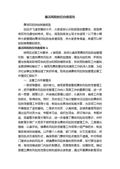 廉洁风险防控自查报告