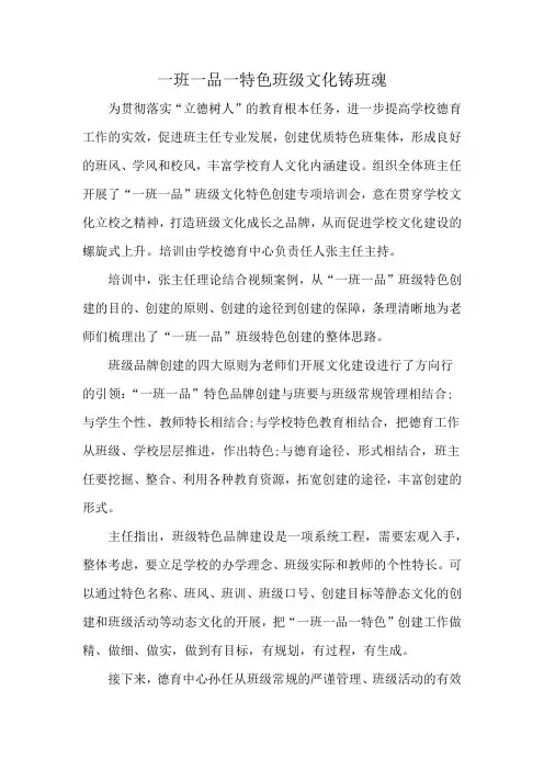 一班一品牌一班一特色获奖案例