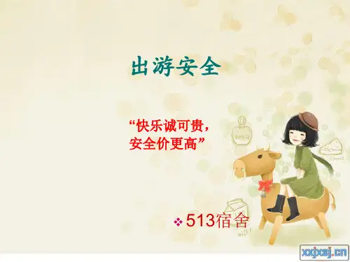 出游安全 ppt课件