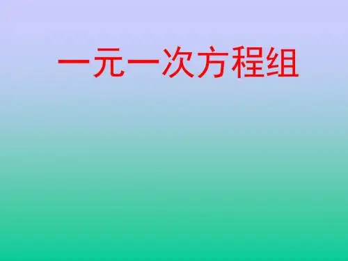 九年级数学 人教版中考专题复习《一元一次方程》课件(共16张PPT)