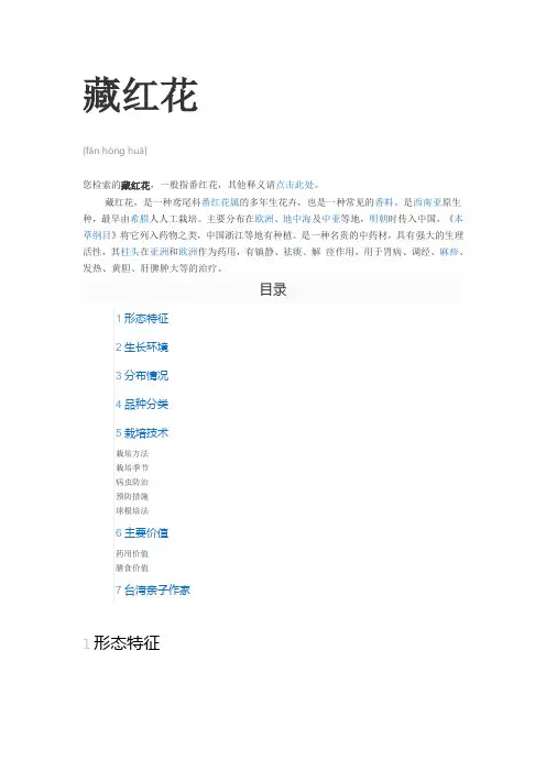 藏红花