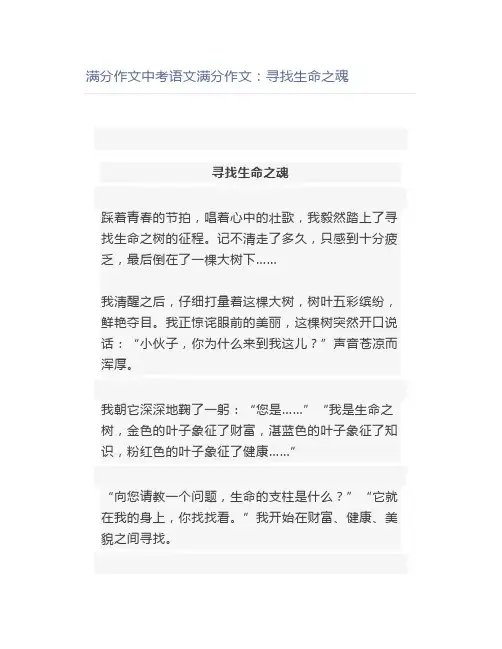 满分作文中考语文满分作文：寻找生命之魂