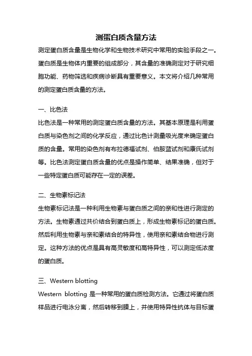 测蛋白质含量方法