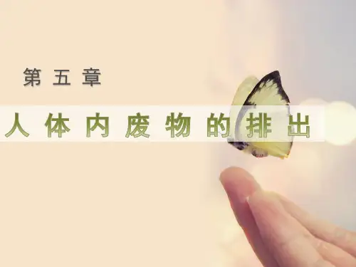 北京版七年级下册生物《 第七章 生物的排泄 第二节 尿液的形成和排出》课件