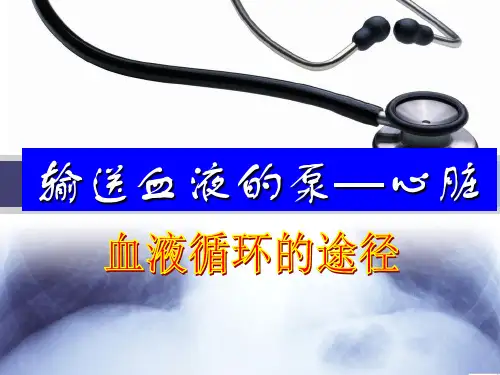 人教版生物七年级下册第四章第三节《输送血液的泵——心脏》(共17张PPT)