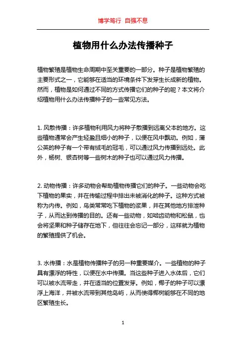 植物用什么办法传播种子