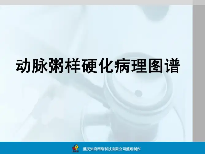 (仅供参考)动脉粥样硬化病理图谱