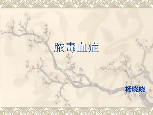 脓毒血症病例讨论PPT课件