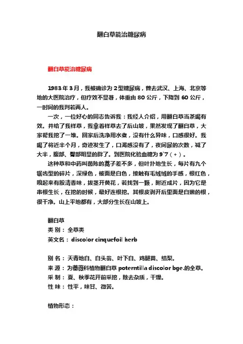 翻白草能治糖尿病