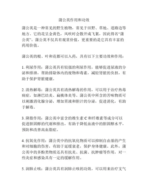 蒲公英作用和功效