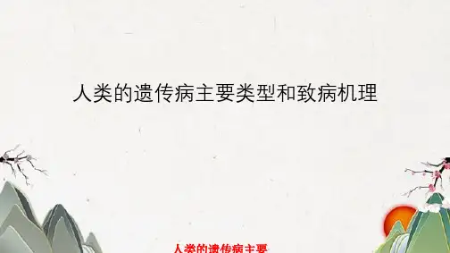 人类遗传病主要类型与致病机理