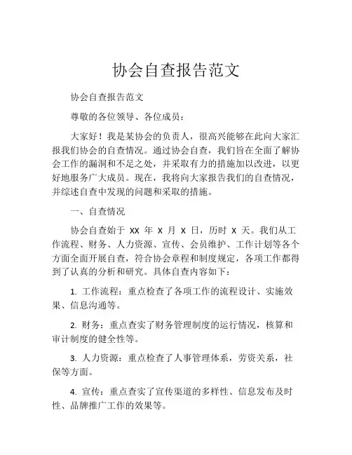 协会自查报告范文