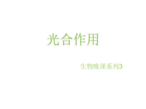 人教高中生物 必修一 5.4.1 光合作用(共16张PPT)