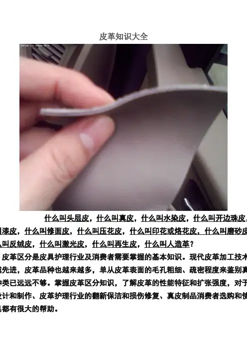 皮革知识大全