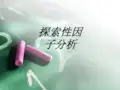 探索性因子分析