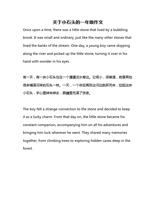 关于小石头的一年级作文