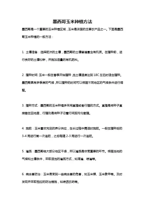 墨西哥玉米种植方法