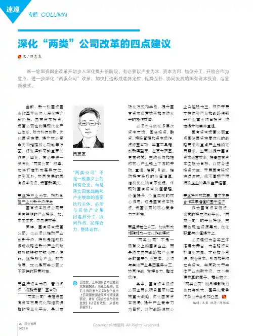 219409309_深化“两类”公司改革的四点建议