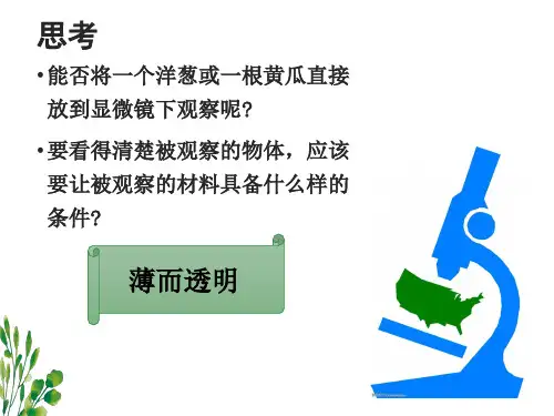 2.1.2 植物细胞   课件 人教版生物七年级上册