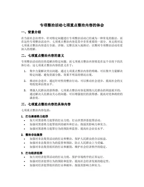 专项整治活动七项重点整治内容的体会