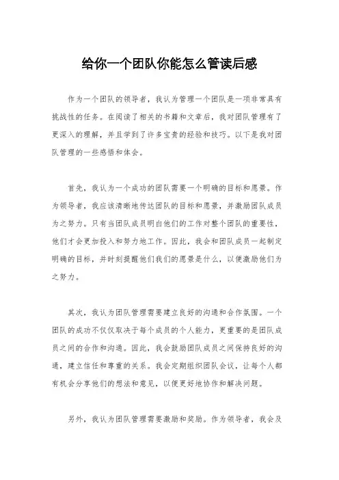 给你一个团队你能怎么管读后感