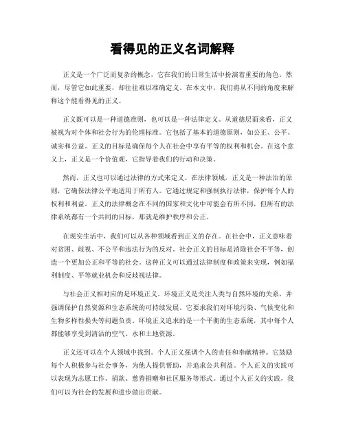 看得见的正义名词解释