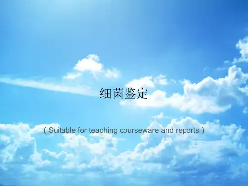 《细菌鉴定》PPT课件