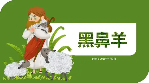 创意美术课程《水粉画之奇怪的黑鼻羊》课件
