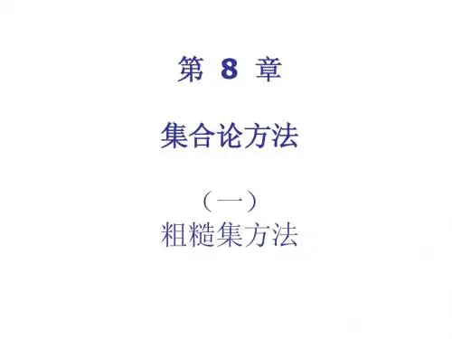 10.粗糙集方法