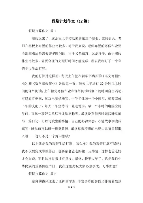 假期计划作文(12篇)