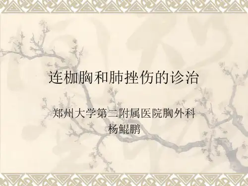 连枷胸