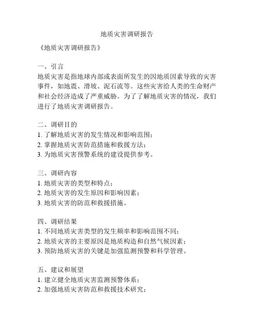 地质灾害调研报告