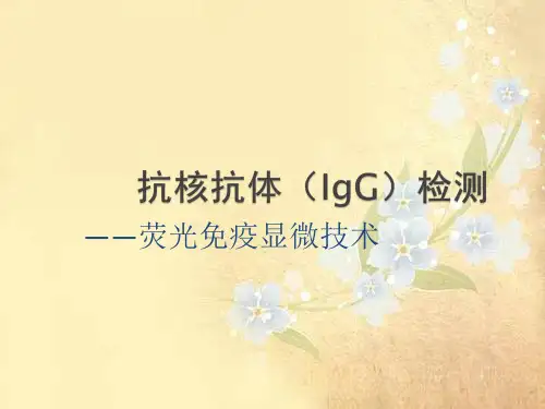 课件：抗核抗体测定-荧光免疫显微技术