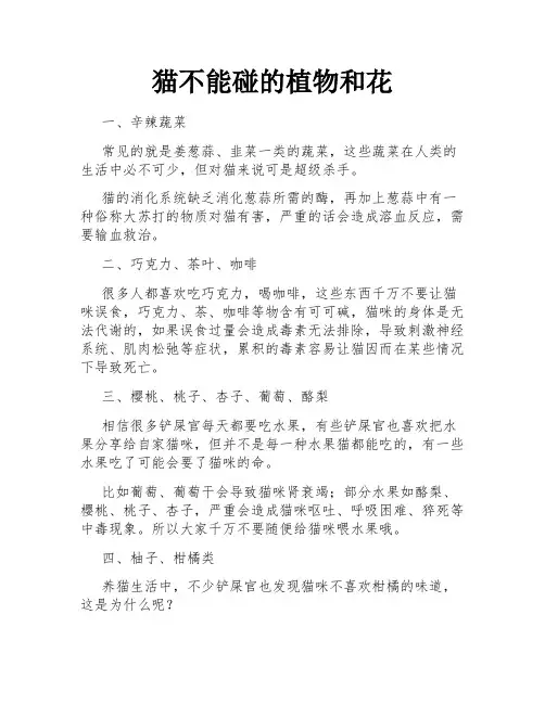 猫不能碰的植物和花
