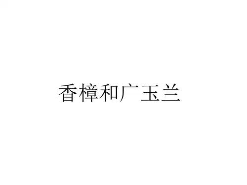 香樟和广玉兰