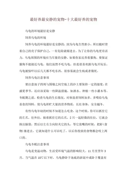 最好养最安静的宠物-十大最好养的宠物