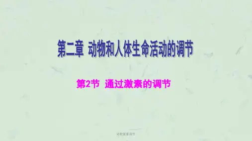 动物激素调节课件