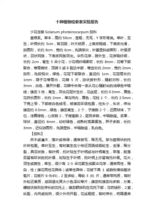 十种植物检索表实验报告