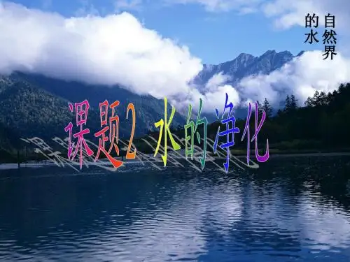 陈冲课题2水的净化