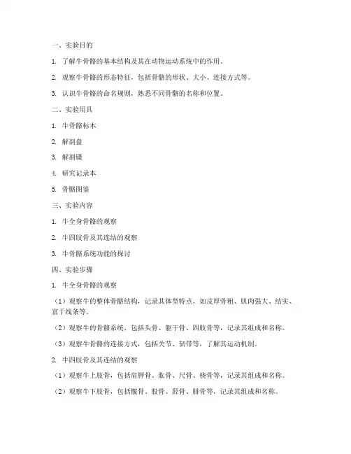 牛骨骼观察实验报告