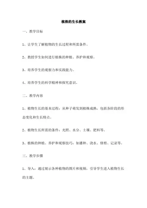 植株的生长教案