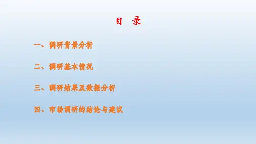 服装市场调研ppt课件